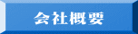  ЊTv 