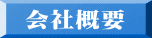  ЊTv
